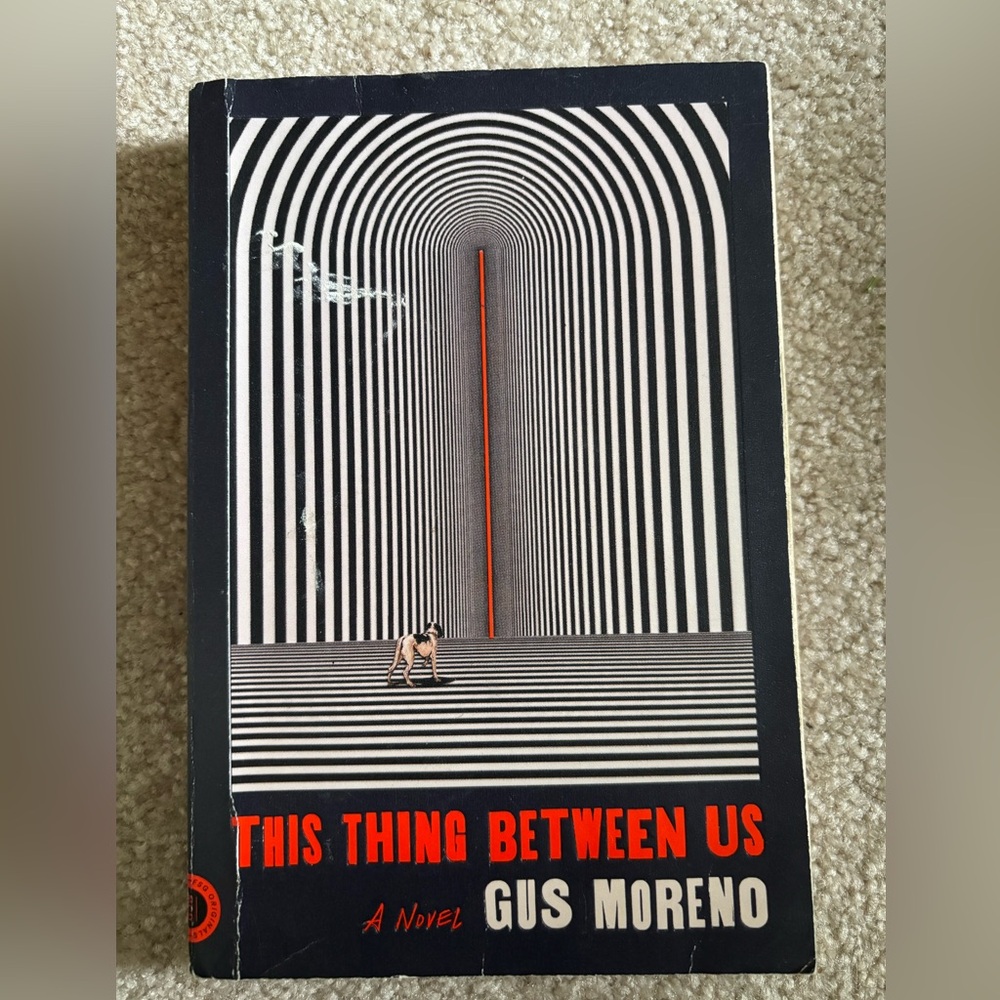 This Thing Between Us Book